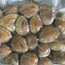 黄蚬子