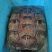 甲鱼，鳄鱼龟
