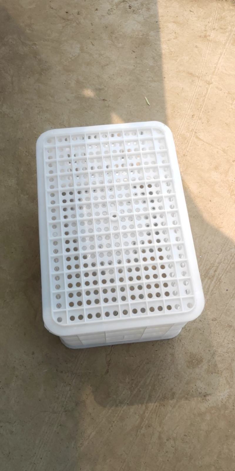 塑料筐，塑料周转筐，水果蔬菜筐，生产销售各种规格水果筐蔬