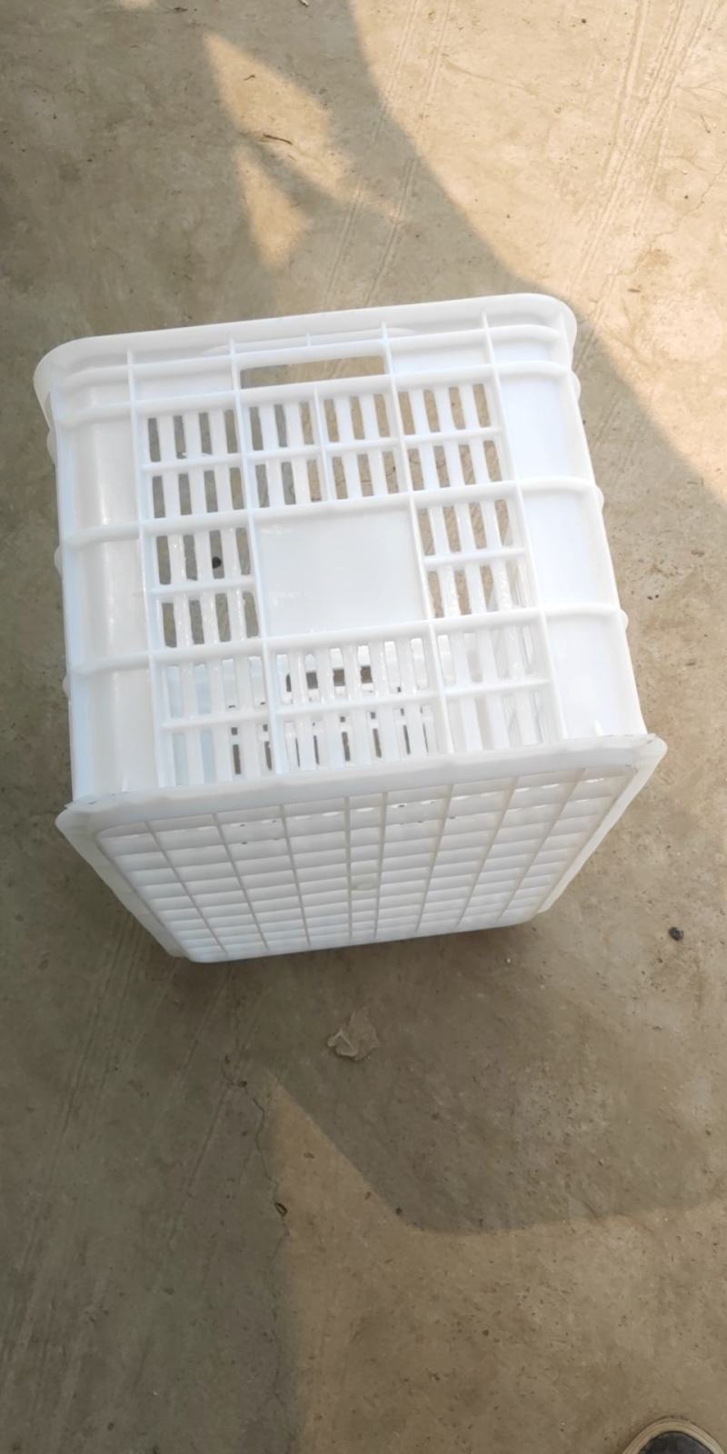 塑料筐，塑料周转筐，水果蔬菜筐，生产销售各种规格水果筐蔬