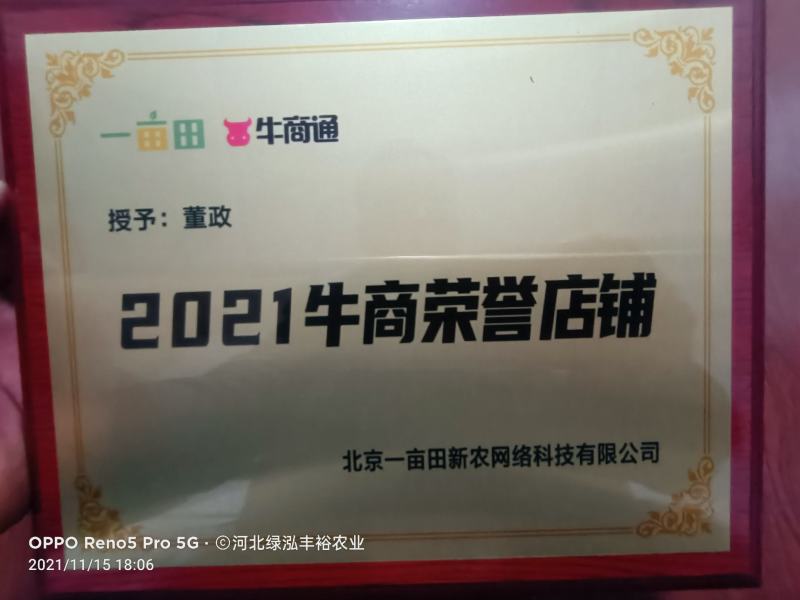济薯苗，脱毒原种济薯26薯苗，西瓜红苗，高端品种薯苗——
