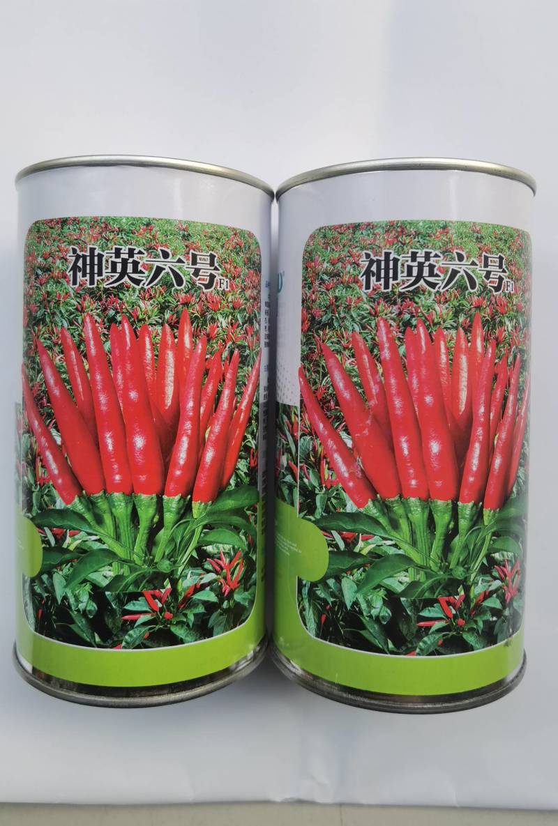 神英六号朝天椒种子，杂交种特辣早熟高产高辣小米椒辣椒种子