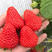 奶油草莓，大量上市，价格低，口感好，甜度高，耐运输！