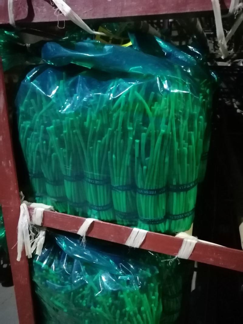 邳州精品蒜苔