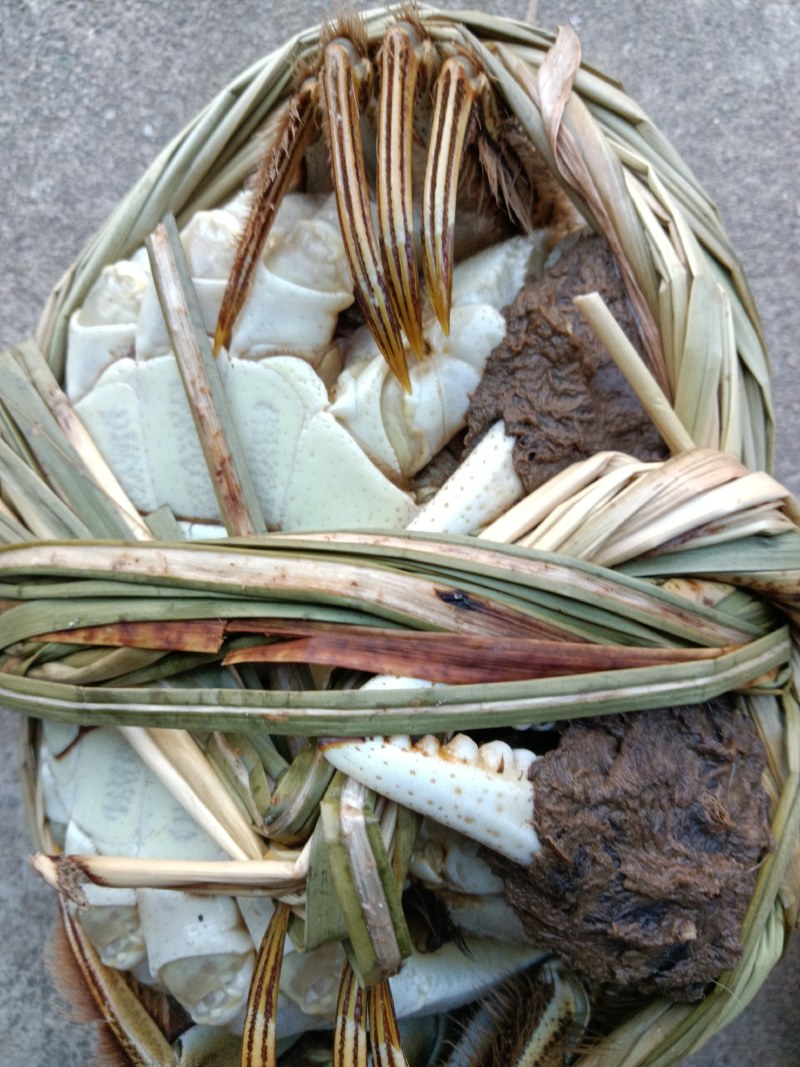 大闸蟹