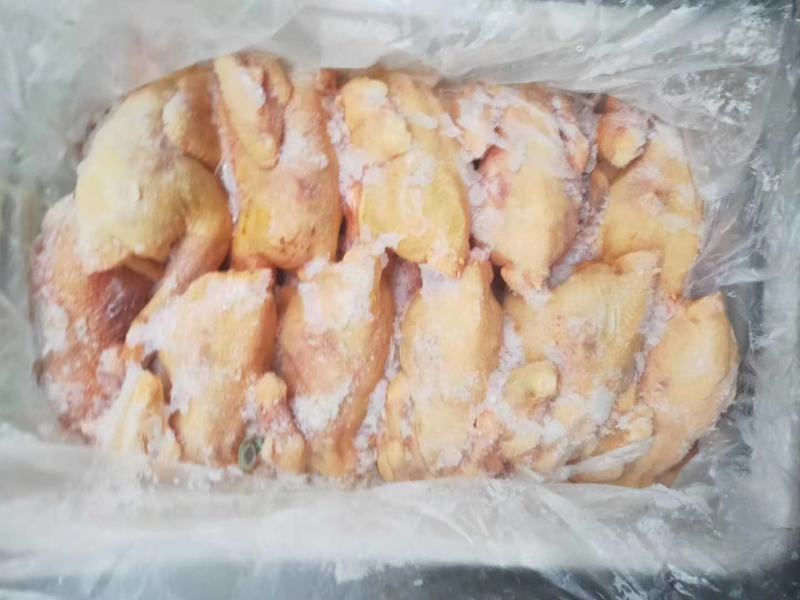 盘腿白条鸡小规格三黄鸡