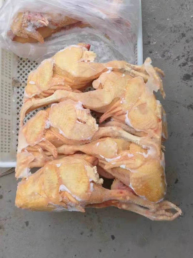 盘腿白条鸡小规格三黄鸡