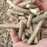 生物质燃料——稻壳颗粒