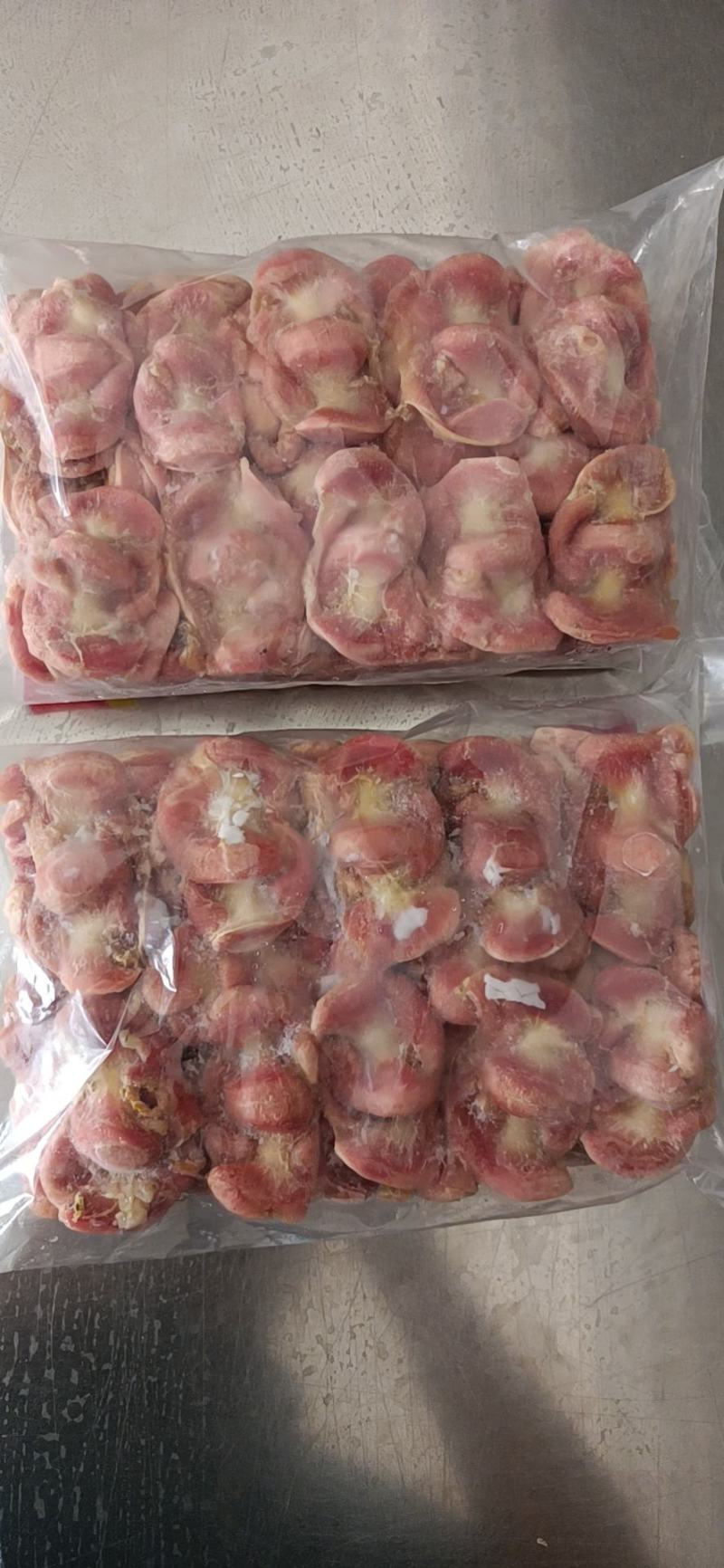 白条鸽毛净度高货源充足稳定原粮喂养标准化宰杀