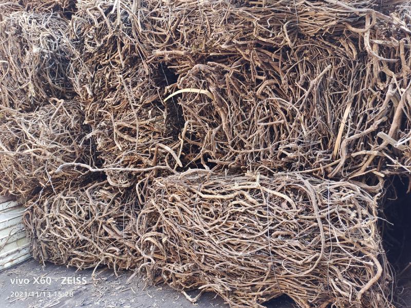 中药材石楠藤，野生药材石楠藤，批发零售，产地一手货源