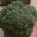 西兰花江苏西兰花绿花菜耐寒优秀耐热炎秀超市