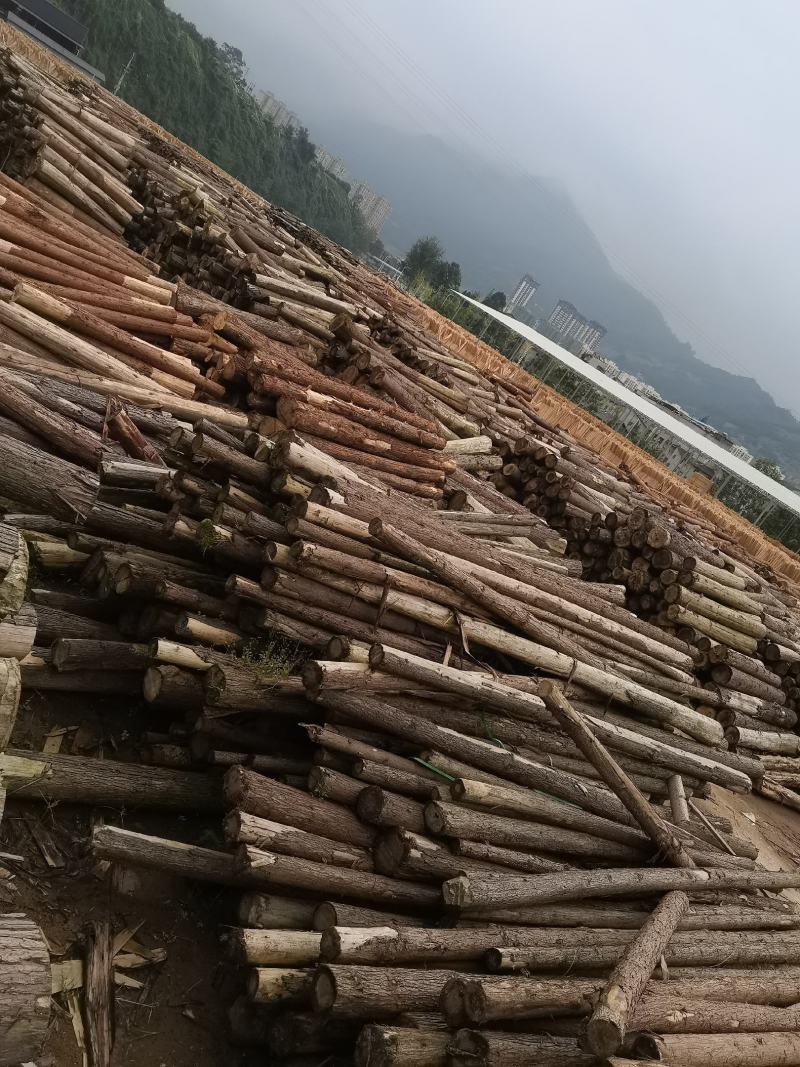 锯末，杉树锯末，不含其它树木，无化学成分，欢迎选购