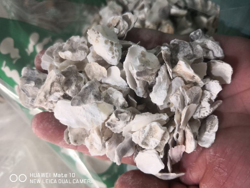 牡蛎生牡蛎煅牡蛎药用牡蛎矿石类中药材批发中药材带抓中药方