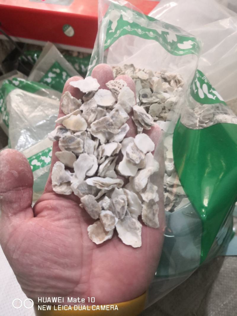 牡蛎生牡蛎煅牡蛎药用牡蛎矿石类中药材批发中药材带抓中药方
