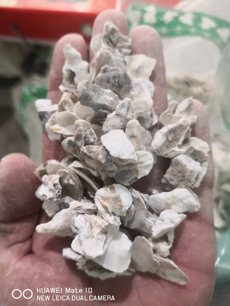 牡蛎生牡蛎煅牡蛎药用牡蛎矿石类中药材批发中药材带抓中药方
