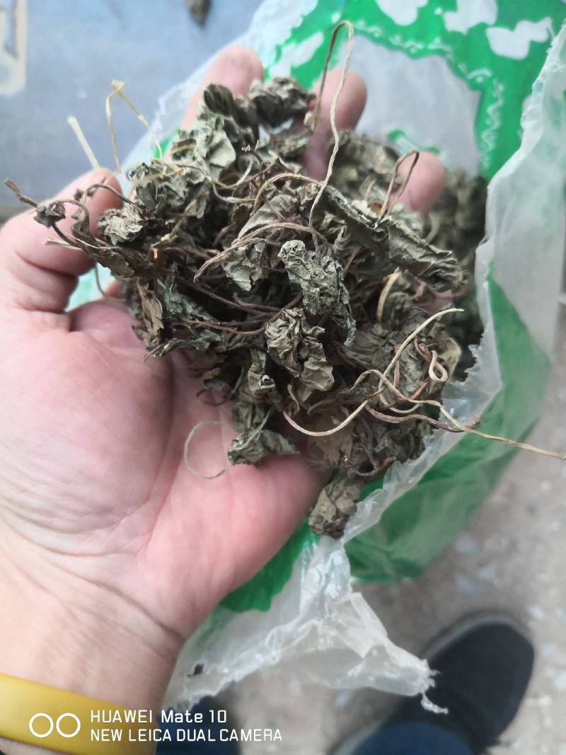 青天葵草独叶莲半边伞青天葵中药材按方抓药【包邮】