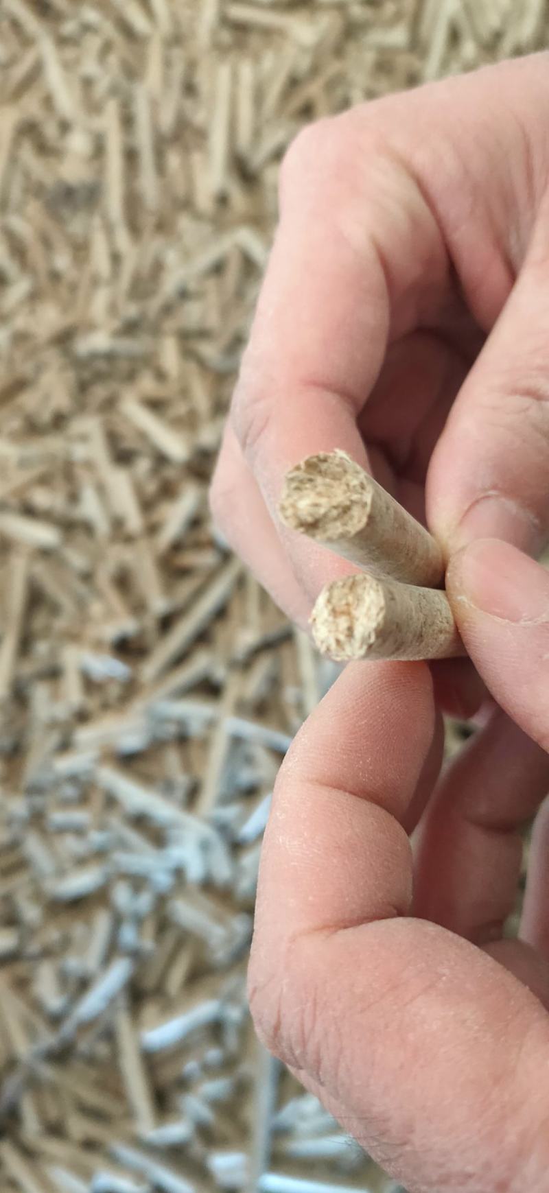生物质燃料——稻壳颗粒