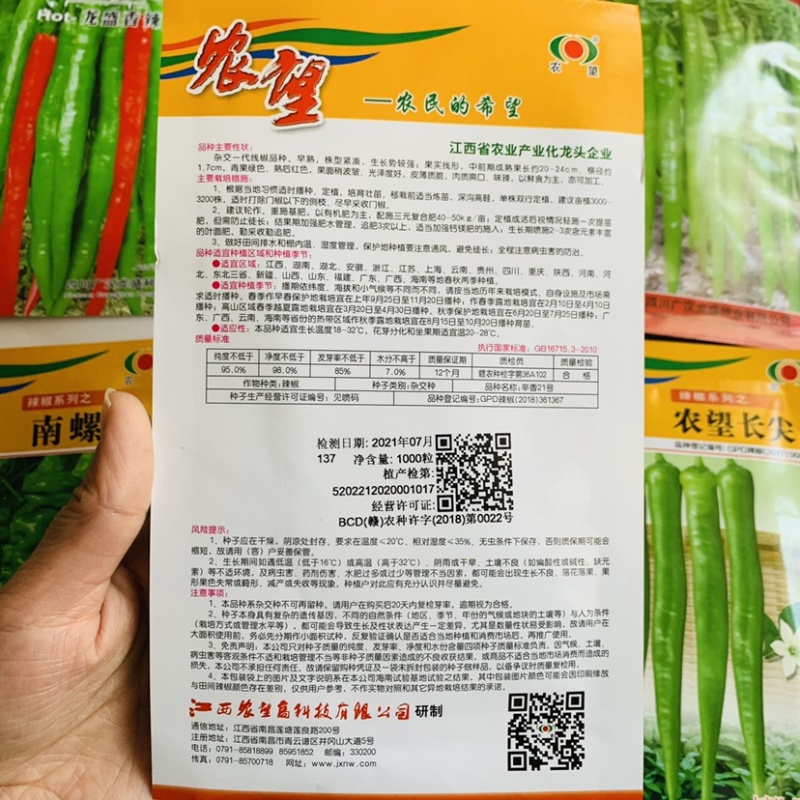 农望辛香21号杂交一代线椒种子，味辣鲜食加工青红辣椒种籽
