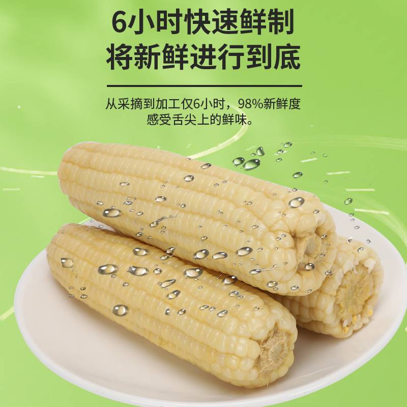 白糯玉米粘玉米鲜甜糯真空包装玉米棒子苞玉米代加工念初好物