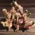 广东野生南姜山姜头卤肉卤菜香料