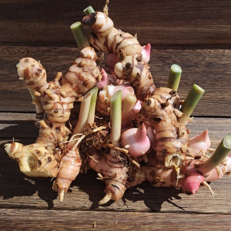 广东野生南姜山姜头卤肉卤菜香料