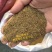 野生蒲公英种子的种籽种植婆婆丁浦公英四季盆栽食用蔬菜野菜