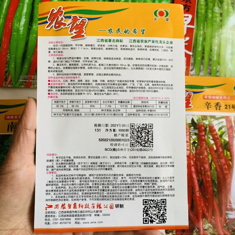 农望辛香808丰产型线椒种子皮薄质脆鲜食加工皆宜