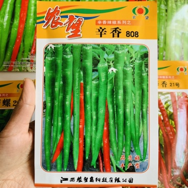 农望辛香808丰产型线椒种子皮薄质脆鲜食加工皆宜