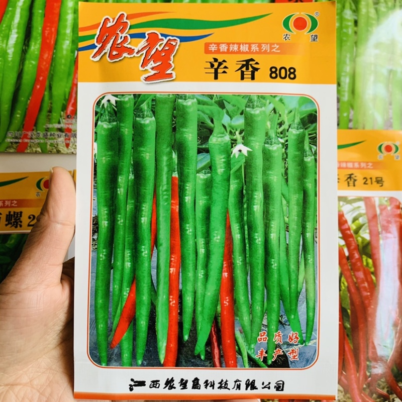 农望辛香808丰产型线椒种子皮薄质脆鲜食加工皆宜