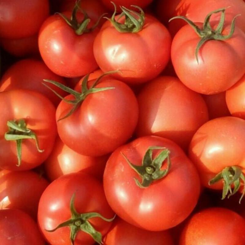 银川大红西红柿单果，光果市场电商代收代发大量有货