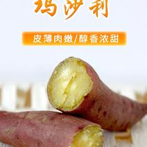 沙土地种植日本进口高端品种玛莎莉红薯，果型漂亮，价格美丽
