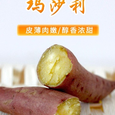 沙土地种植日本进口高端品种玛莎莉红薯,果型漂亮,价格美丽