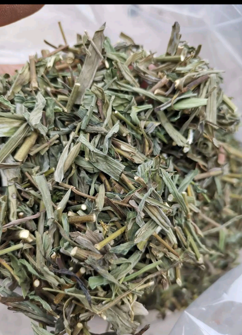 【文斌药业】柴胡苗良心商家干净无杂质地道药材