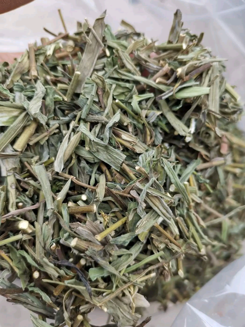 【文斌药业】柴胡苗良心商家干净无杂质地道药材