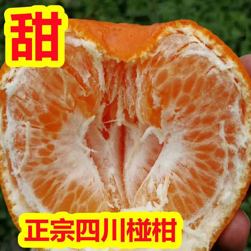 四川正宗椪柑柑橘橘子新鲜水果现摘台碰产地直发一手货源