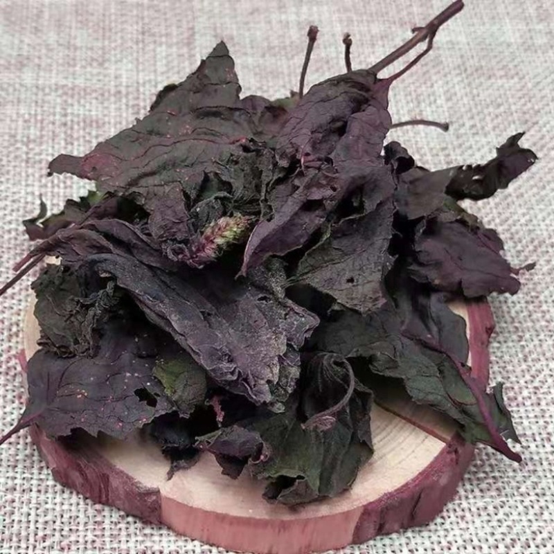 紫苏叶紫苏叶干货去腥中药材散装批发