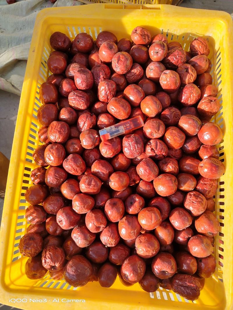 干枣泡茶熬粥市场批发加工用枣