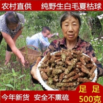 夏枯球野生夏枯球无硫新货干净无杂质中药材批发