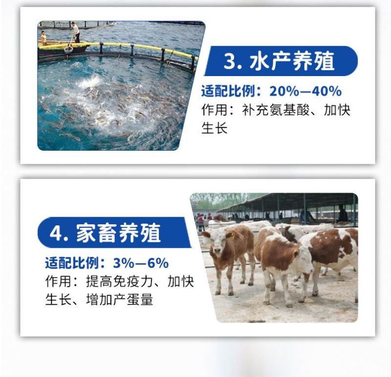 批发国产脱脂鱼粉饲料养殖秘鲁进口鱼粉鸡鸭鹅猪水产虾蟹鹌鹑