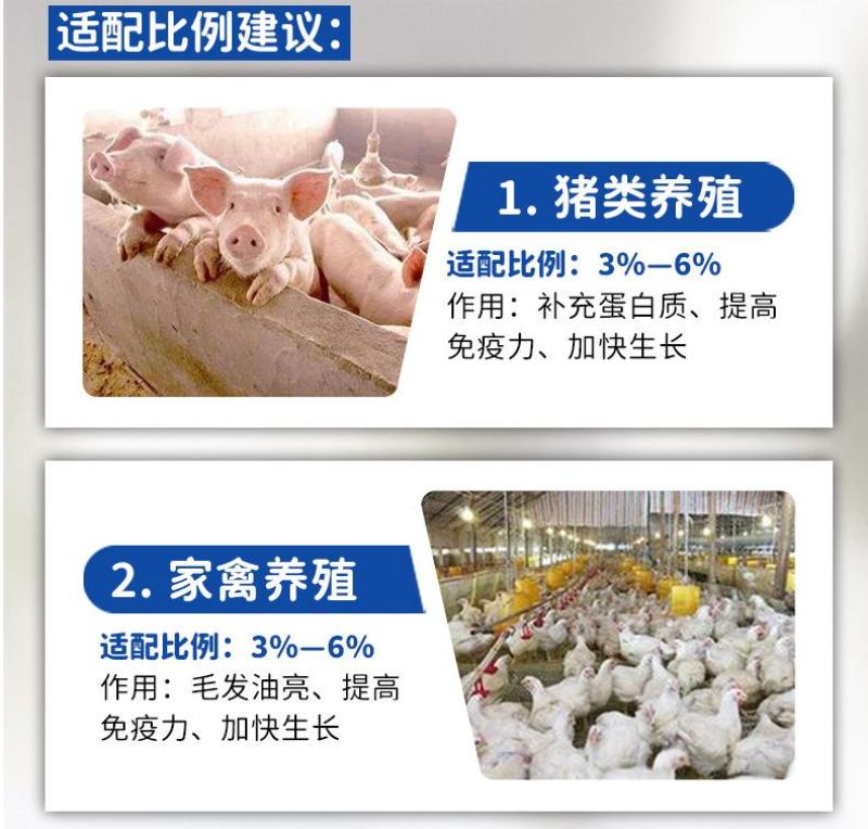 批发国产脱脂鱼粉饲料养殖秘鲁进口鱼粉鸡鸭鹅猪水产虾蟹鹌鹑