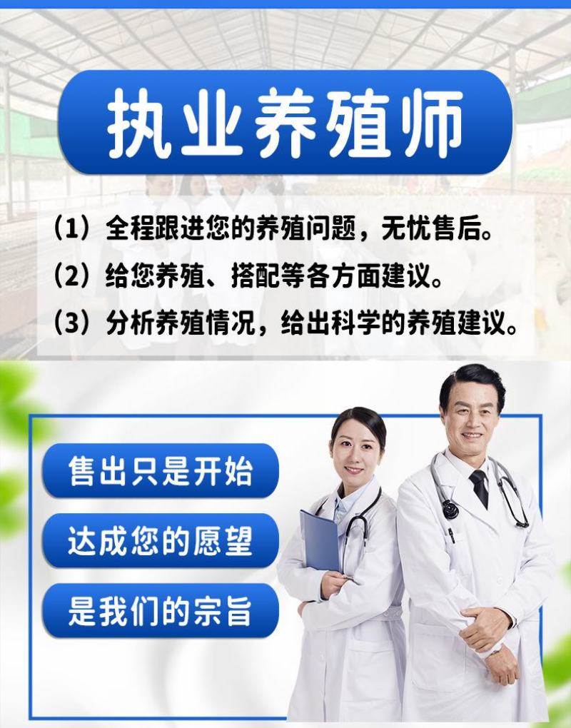 批发国产脱脂鱼粉饲料养殖秘鲁进口鱼粉鸡鸭鹅猪水产虾蟹鹌鹑