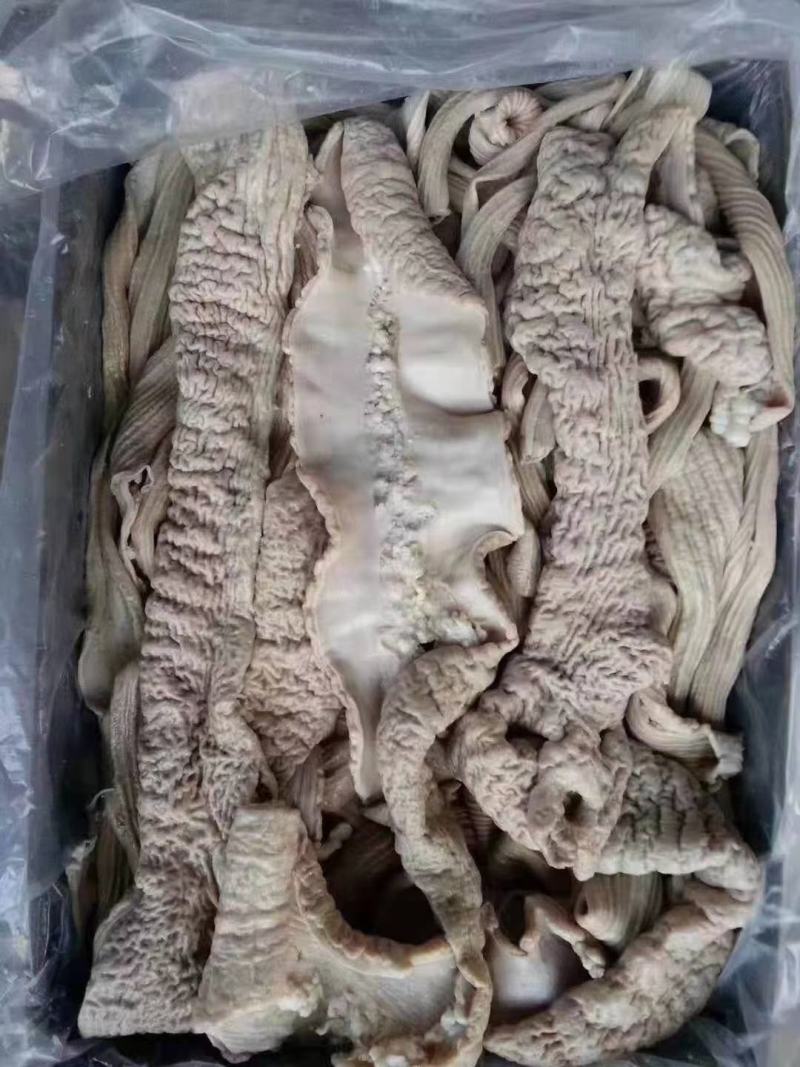 半成品牛小肠，抛开小肠，熟圆肠都有现货