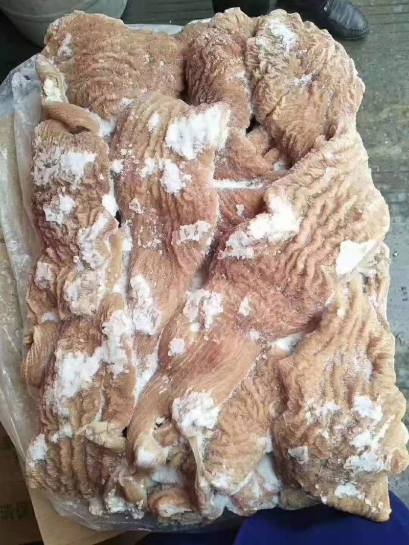 半成品牛小肠，抛开小肠，熟圆肠都有现货