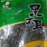黑龙江省五常市山河镇合作社种植的五常糯米