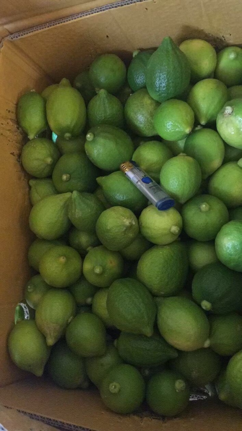 广东香水柠檬一手货源皮厚汁水多颜色好一级二级
