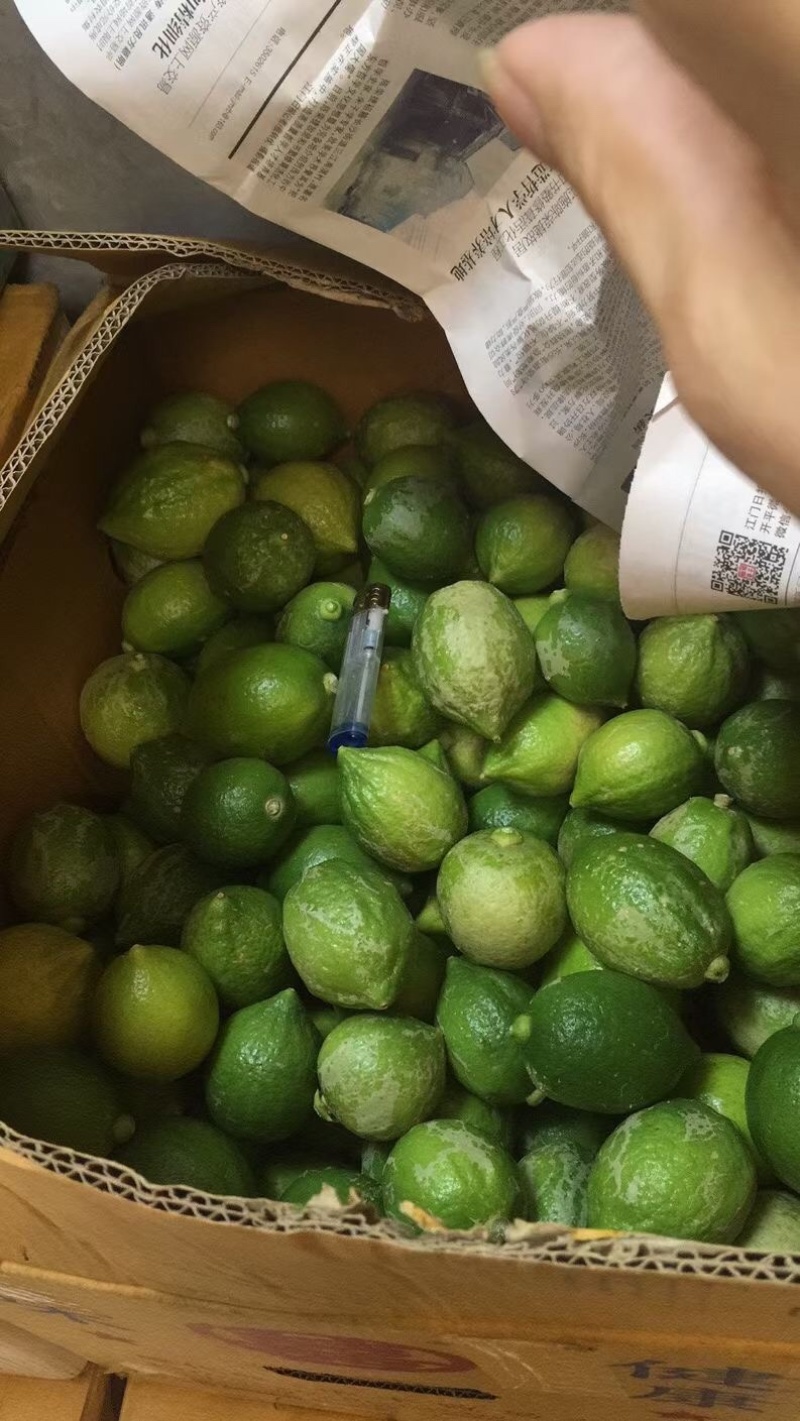 广东香水柠檬一手货源皮厚汁水多颜色好一级二级