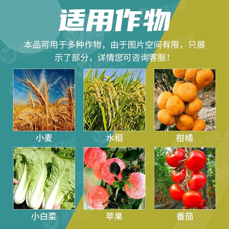 三唑酮三唑铜果树锈病月季药多肉药花卉白粉病杀菌剂粉锈宁