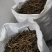 石菖蒲含量高江西好品种欢迎各位老板选购。