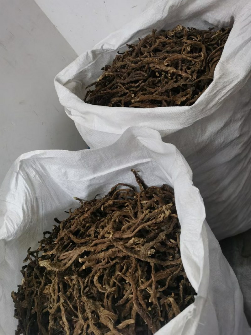石菖蒲含量高江西好品种欢迎各位老板选购。