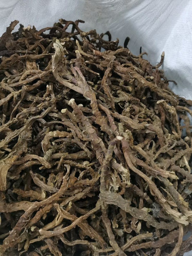 石菖蒲含量高江西好品种欢迎各位老板选购。